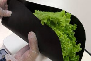 就労継続支援B型野菜の袋詰めの作業