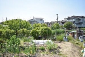放課後などデイサービスちよの里の畑