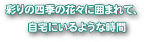 彩の四季の花々に囲まれて、自宅にいるような時間